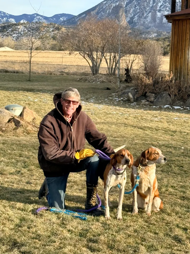 Marla Meridith's hounds at Cottonwood Ranch